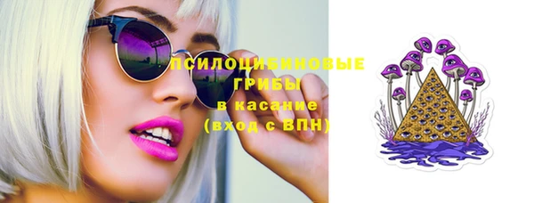 гашик Алзамай