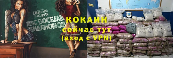 гашик Алзамай